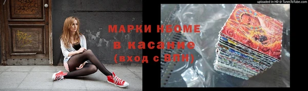прущие грибы Арсеньев