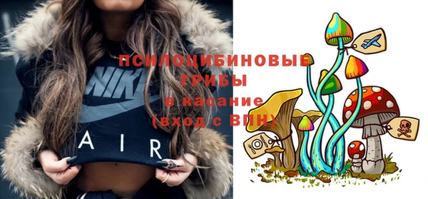 тгк Армянск