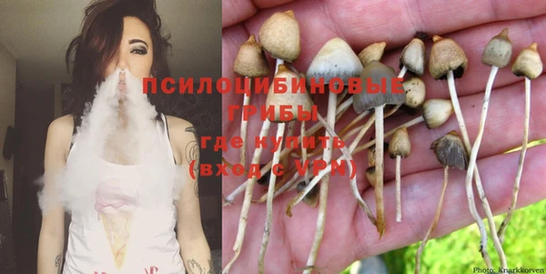 индика Ростов
