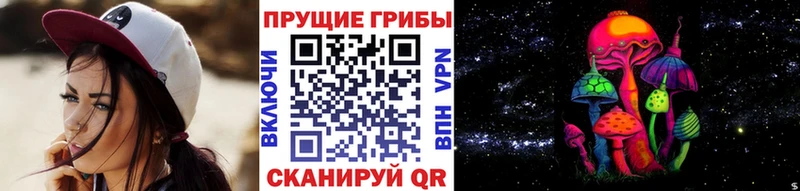 закладка  OMG зеркало  Галлюциногенные грибы прущие грибы  Глазов 